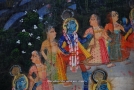 Pichhvai Krishna Rasa Lila (IBH313)
